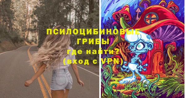ECSTASY Армянск