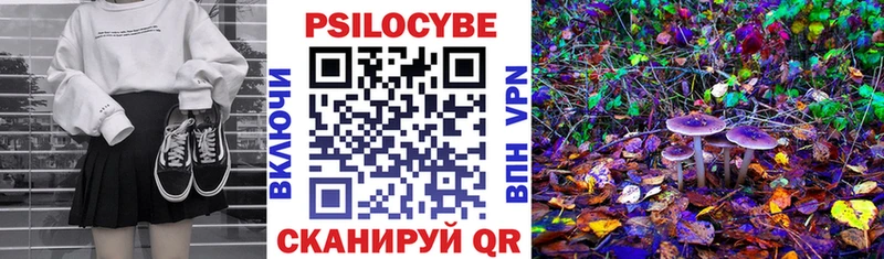 blacksprut рабочий сайт  Полярный  Галлюциногенные грибы Magic Shrooms 